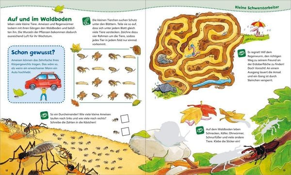 Produktbild: WAS IST WAS Junior Mitmach-Heft Wald
