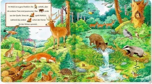 Produktbild: Meine ersten Wimmelbilder