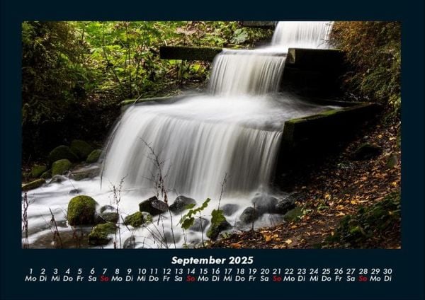 Produktbild: Bilder aus der Natur 2025 Fotokalender DIN A4