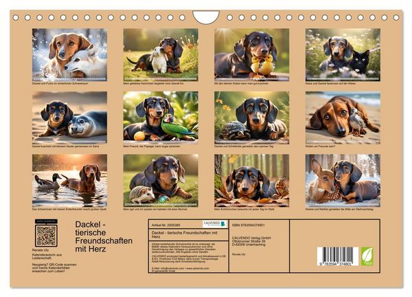 Produktbild: Dackel - tierische Freundschaften mit Herz (Wandkalender 2027 DIN A4 quer), CALVENDO Monatskalender