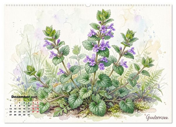 Produktbild: Wilde Kostbarkeiten &ndash; Essbar, gesund & wundersch&ouml;n (Wandkalender 2027 DIN A2 quer), CALVENDO Monatskalender