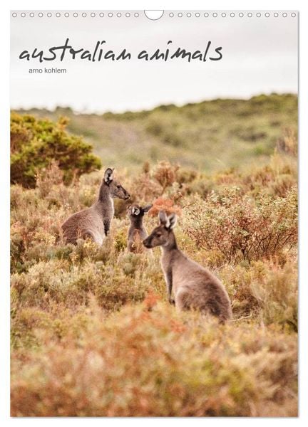 Produktbild: australian animals (Wandkalender 2026 DIN A3 hoch), CALVENDO Monatskalender