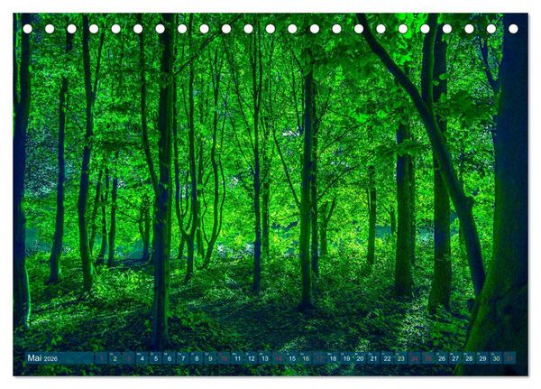 Produktbild: Bielefeld - Der Obersee - unendliche Motive... (Tischkalender 2026 DIN A5 quer), CALVENDO Monatskalender