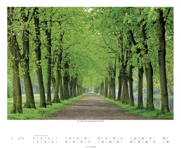 Produktbild: Alleen 2013