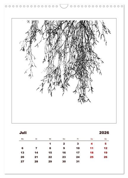 Produktbild: LignoGrafica - Muster und Strukturen der B&auml;ume (Wandkalender 2026 DIN A3 hoch), CALVENDO Monatskalender