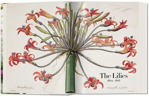 Produktbild: Redout&eacute;. The Book of Flowers