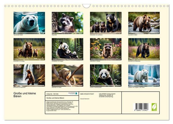 Produktbild: Gro&szlig;e und kleine B&auml;ren (Wandkalender 2026 DIN A3 quer), CALVENDO Monatskalender
