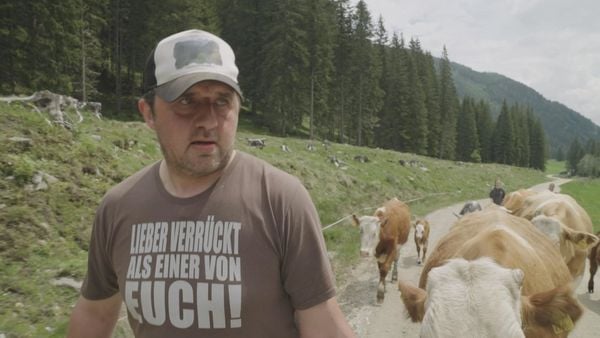 Produktbild: Der Bauer und der Bobo