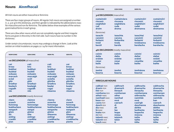 Produktbild: Easy Learning Irish Dictionary
