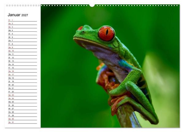 Produktbild: Costa Rica &ndash; Tierparadies im Regenwald (hochwertiger Premium Wandkalender 2027 DIN A2 quer), Kunstdruck in Hochglanz
