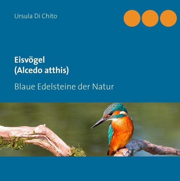 Produktbild: Eisv&ouml;gel (Alcedo atthis)