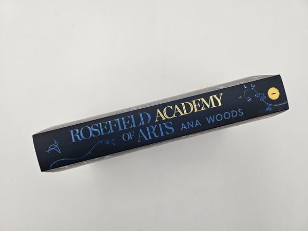 Produktbild: Rosefield Academy of Arts – The Secrets We Keep