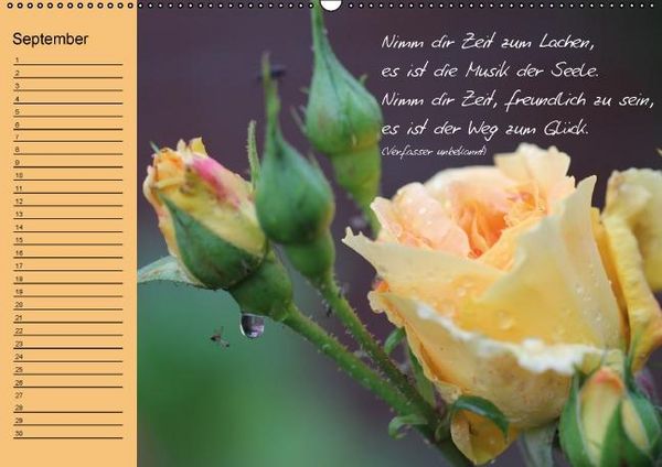 Produktbild: Blumengartenjahr - Geburtstagskalender mit sch&ouml;nen Zitaten (Wandkalender immerw&auml;hrend DIN A2 quer)