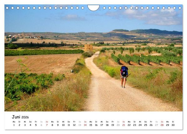 Produktbild: Jakobsweg - Camino Frances (Wandkalender 2026 DIN A4 quer), CALVENDO Monatskalender