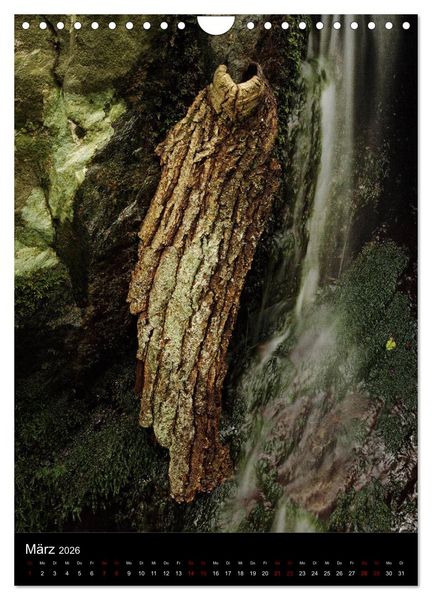 Produktbild: NATUREART - KUNST IN DER NATUR (Wandkalender 2026 DIN A4 hoch), CALVENDO Monatskalender