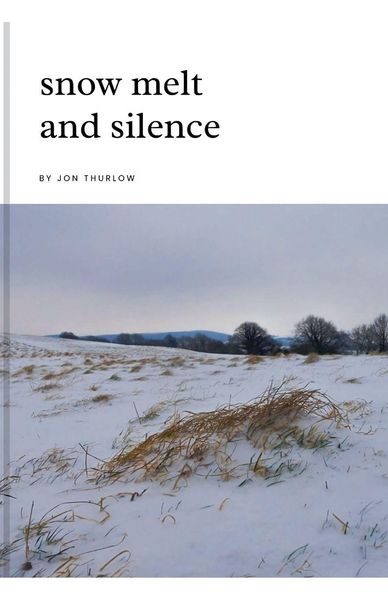Produktbild: Snow Melt and Silence