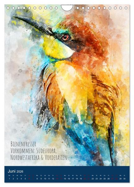 Produktbild: Exotische V&ouml;gel - Die Sch&ouml;nsten der Welt in Aquarell (Wandkalender 2026 DIN A4 hoch), CALVENDO Monatskalender