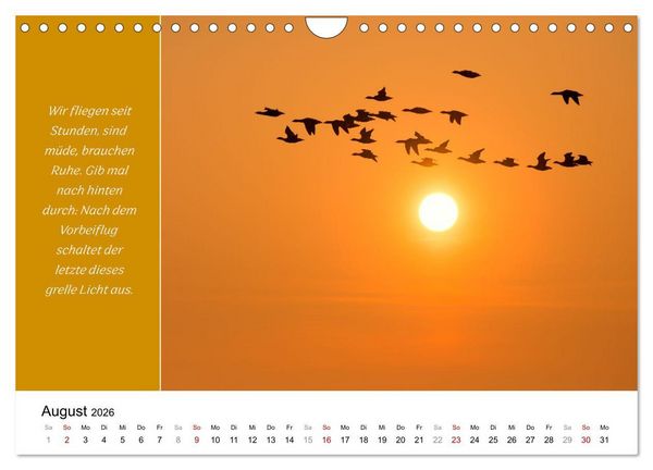 Produktbild: Tiere und feiner Humor (Wandkalender 2026 DIN A4 quer), CALVENDO Monatskalender