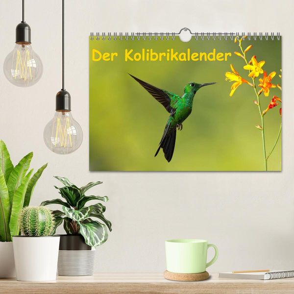 Produktbild: Der Kolibrikalender (Wandkalender 2026 DIN A4 quer), CALVENDO Monatskalender