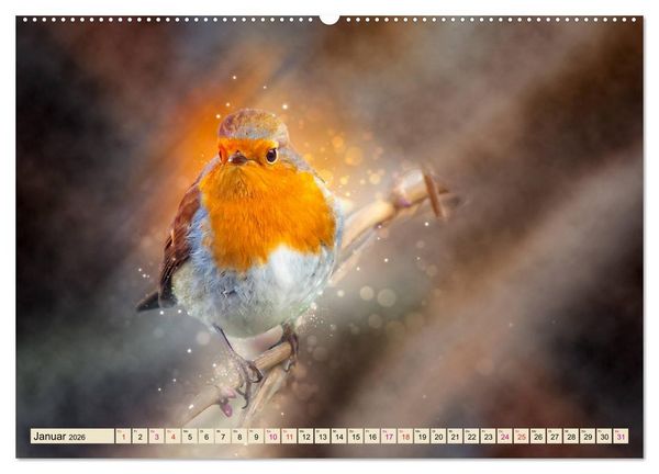 Produktbild: Bei uns im Garten - Rotkehlchen (Wandkalender 2026 DIN A2 quer), CALVENDO Monatskalender