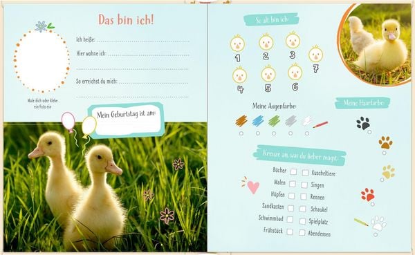 Produktbild: Freundebuch &ndash; Alle meine Freunde