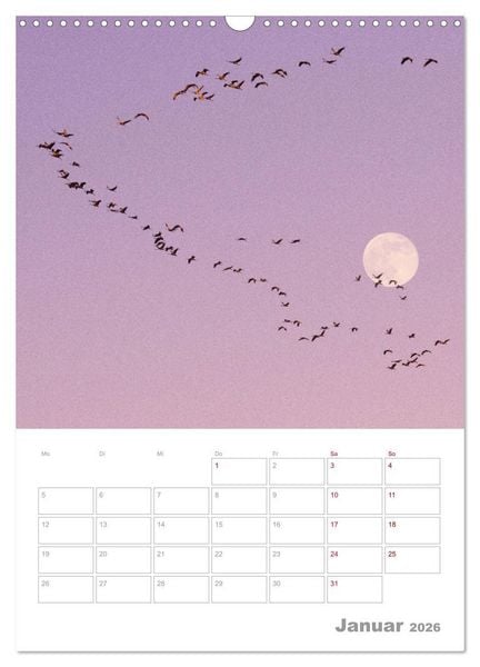 Produktbild: VOLLMOND-Planer - Im Licht der Nacht (Wandkalender 2026 DIN A3 hoch), CALVENDO Monatskalender