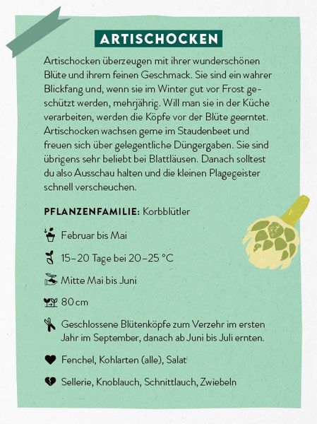 Produktbild: Kartenset: Keine Zeit zu g&auml;rtnern &ndash; 64 Karten &ndash; Einfach und schnell zum Gem&uuml;segarten