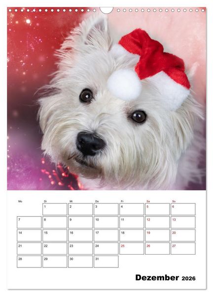 Produktbild: West Highland White Terrier - Herzensbrecher auf vier Pfoten (Wandkalender 2026 DIN A3 hoch), CALVENDO Monatskalender