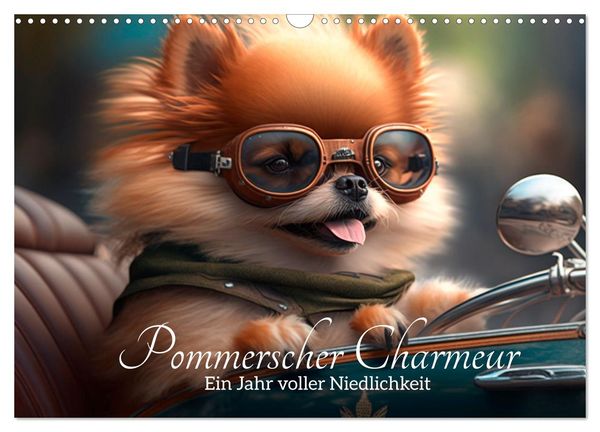 Pommerscher Charmeur Ein Jahr voller Niedlichkeit (Wandkalender 2024 DIN A3 quer), CALVENDO Monatskalender