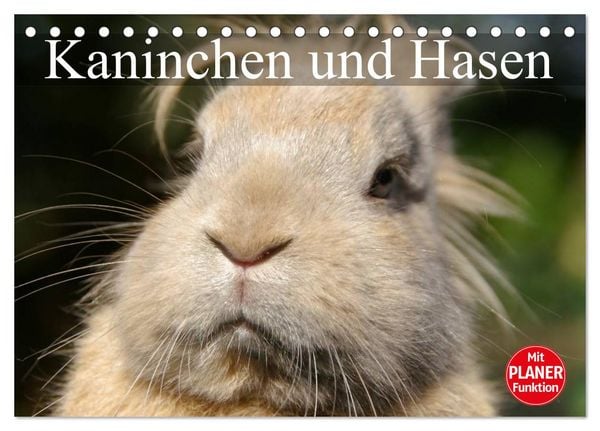 Produktbild: Kaninchen und Hasen (Tischkalender 2026 DIN A5 quer), CALVENDO Monatskalender