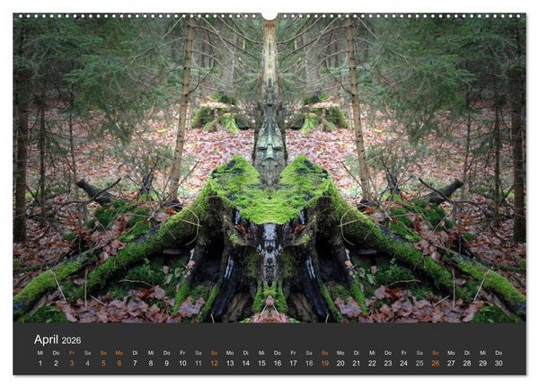 Produktbild: Spiegelwelten - Im Reich der Naturwesen (Wandkalender 2026 DIN A2 quer), CALVENDO Monatskalender