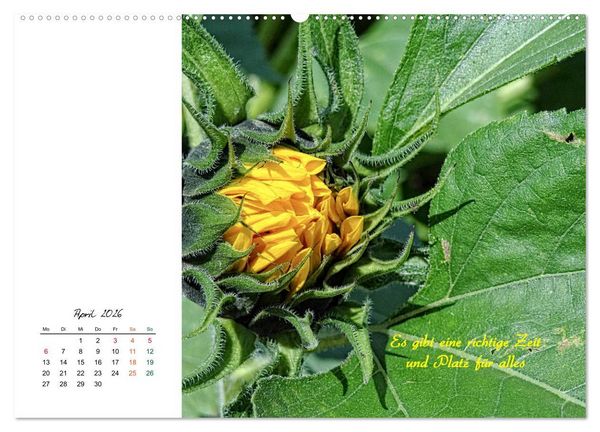 Produktbild: Innehalten in der Natur ... mit Weisheiten und Sprichworten der Indianer (hochwertiger Premium Wandkalender 2026 DIN A2 quer), Kunstdruck in Hochglanz