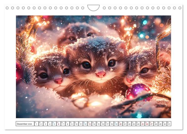 Produktbild: Augen wie Kn&ouml;pfe (Wandkalender 2026 DIN A4 quer), CALVENDO Monatskalender