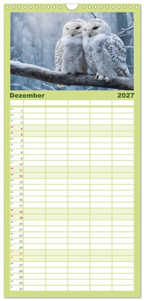 Produktbild: Familienplaner 2027 - Waldgefl&uuml;ster mit 5 Spalten (Wandkalender, 21 x 45 cm) CALVENDO