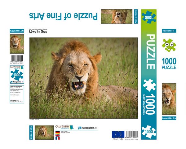 Produktbild: CALVENDO Puzzle L&ouml;we im Gras | 1000 Teile Lege-Gr&ouml;&szlig;e 64x48cm Foto-Puzzle f&uuml;r gl&uuml;ckliche Stunden
