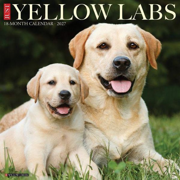 Produktbild: Yellow Labs 2027 12 X 12 Wall Calendar