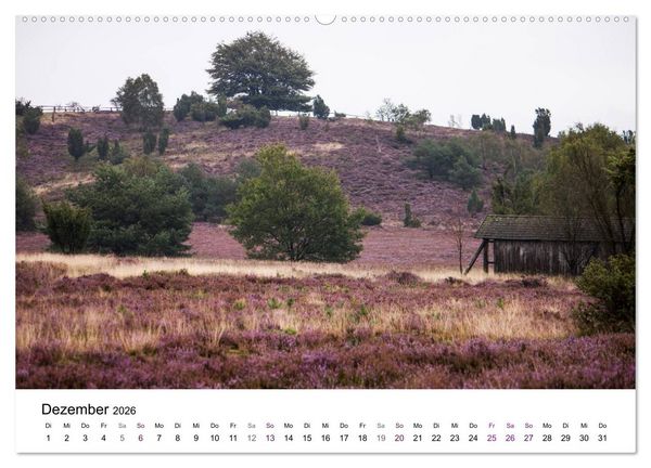 Produktbild: L&uuml;neburger Heide (Wandkalender 2026 DIN A2 quer), CALVENDO Monatskalender