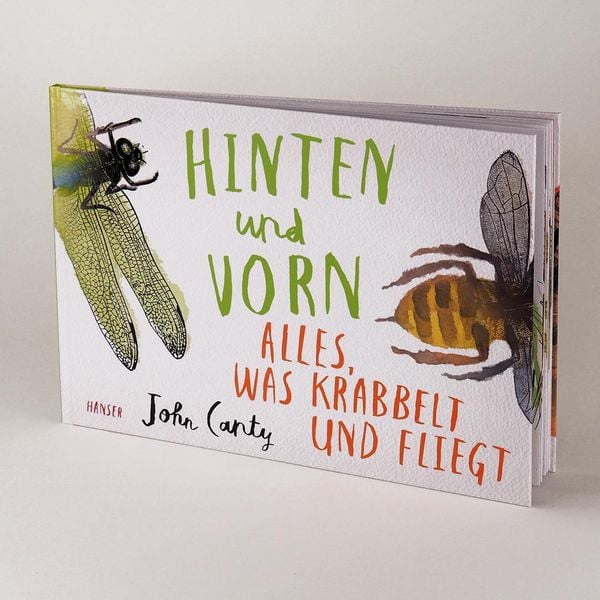 Produktbild: Hinten und vorn - Alles, was krabbelt und fliegt