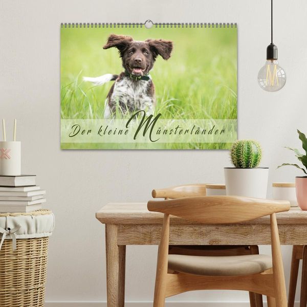 Produktbild: Der kleine M&uuml;nsterl&auml;nder (Wandkalender 2026 DIN A3 quer), CALVENDO Monatskalender