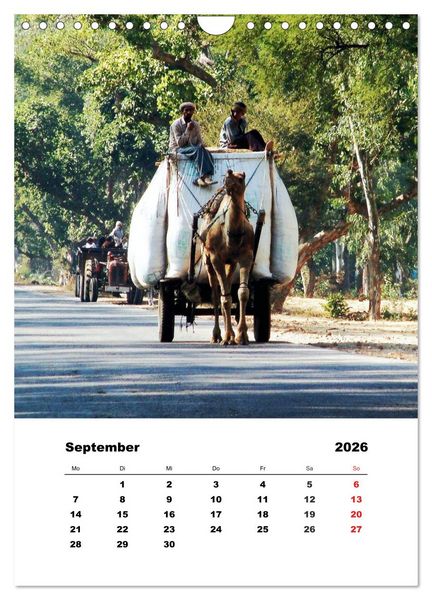 Produktbild: Indien erleben (Wandkalender 2026 DIN A4 hoch), CALVENDO Monatskalender