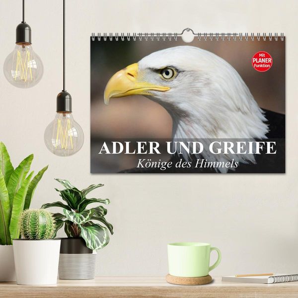 Produktbild: Adler und Greife. K&ouml;nige des Himmels (Wandkalender 2026 DIN A4 quer), CALVENDO Monatskalender
