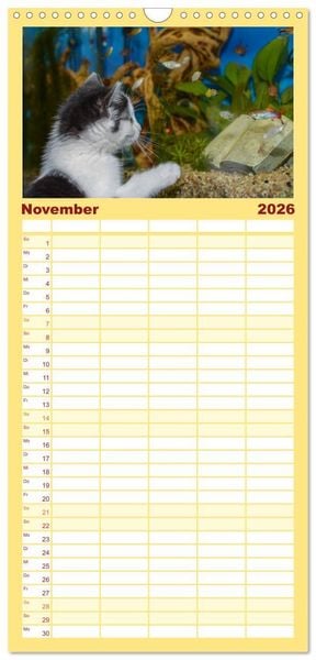 Produktbild: Familienplaner 2026 - Die Launen der Katzen 2026 mit 5 Spalten (Wandkalender, 21 x 45 cm) CALVENDO