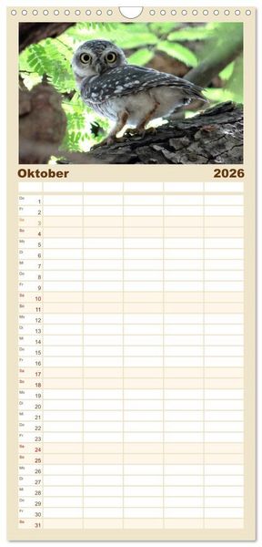 Produktbild: Familienplaner 2026 - Eulen. Gefiederte Weisheit mit 5 Spalten (Wandkalender, 21 x 45 cm) CALVENDO