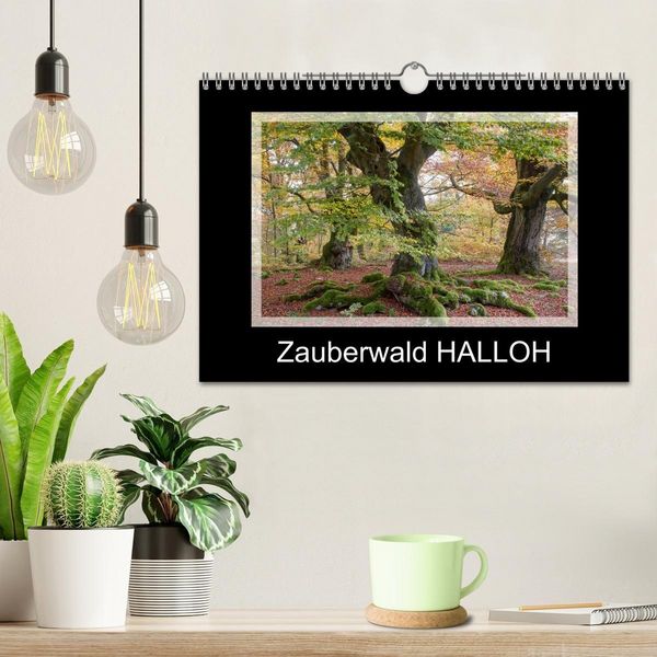 Produktbild: Zauberwald HALLOH (Wandkalender 2026 DIN A4 quer), CALVENDO Monatskalender