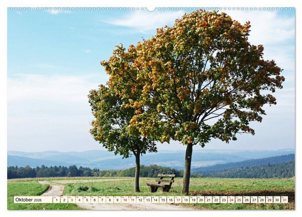 Produktbild: Viele Wege - ein Ziel Wandern im Odenwald (Wandkalender 2026 DIN A2 quer), CALVENDO Monatskalender