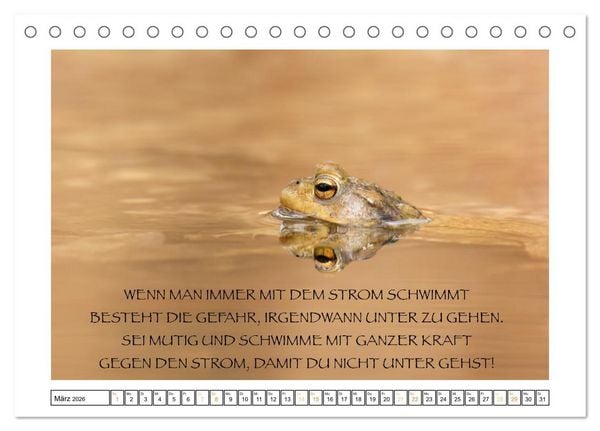 Produktbild: Spruch verliebt (Tischkalender 2026 DIN A5 quer), CALVENDO Monatskalender