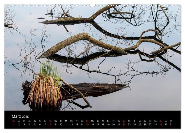 Produktbild: Gesehen auf - R&uuml;gen und Hiddensee (hochwertiger Premium Wandkalender 2026 DIN A2 quer), Kunstdruck in Hochglanz