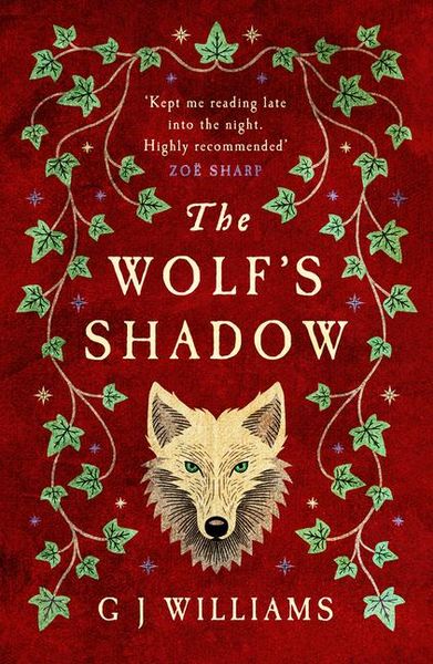 Produktbild: The Wolf's Shadow