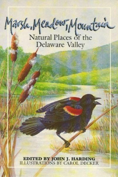 Produktbild: Marsh Meadow Mountain