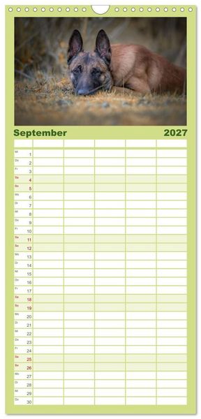 Produktbild: Familienplaner 2027 - Belgischer Sch&auml;ferhund - Der Malinois mit 5 Spalten (Wandkalender, 21 x 45 cm) CALVENDO